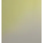 Prismatic Citrine- APL P0853