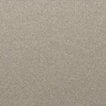 Champagne Metallic_APLM5576