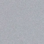 Champagne Silver_APLM07