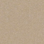 Metallic Gold_APLM09